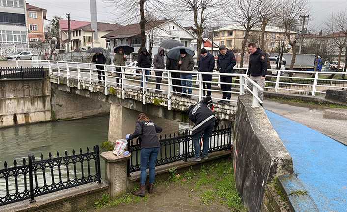 Hendek’teki Balık Ölümlerine İnceleme Başlatıldı