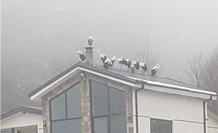 Göç Yolculuğuna Hendek’te Mola