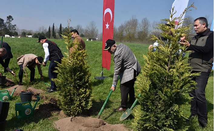 Hendek’te Fidanlar Toprakla Buluştu